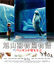 旭山動物園物語　ペンギンが空をとぶ　Blu-ray.jpg